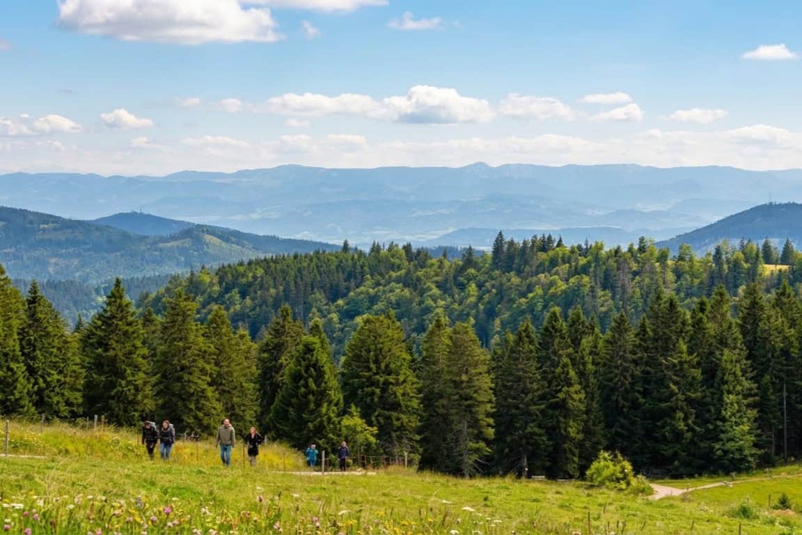 Aussicht von Wilhelmshütte Feldberg